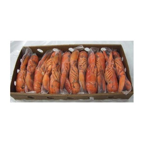 กุ้งมังกรอเมริกันสด/แช่แข็ง ราคาดีที่สุด มีจำหน่าย - Product Image 1