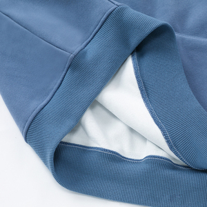 Sudadera con Capucha para Hombre, Tejido Grueso, Corte Regular, Impresión Puff, Bordado, Diseño Sólido, Otoño, Venta al Por Mayor Personalizada - Product Image 4