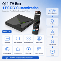 Boîtier Smart TV Q11 Android 14.0 S905X4 4 Go 32 Go 8K 1000M LAN WIFI BT Widevine L1 1 pièce MOQ Interface utilisateur personnalisée Intégration du système d'application CMS Push