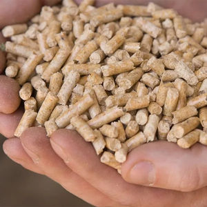 Granulés de bois industriels de haute qualité faible teneur en humidité et bâton de briquette d'ingénierie de cendres pour une production d'énergie constante - Product Image 4