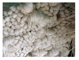 Matériau de noyau de rotin rond de haute qualité du Vietnam/peau de rotin/rotin naturel pour l'exportation de meubles avec le prix concurrentiel - Product Image 4