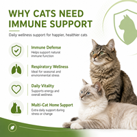 Pâte de L-Lysine OEM pour chats, bien-être respiratoire félin, L-Lysine, colostrum, taurine, seringue doseuse quantitative 60 ml, personnalisable