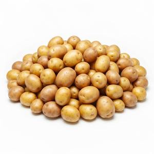 Patatas frescas Premium Exportación a granel Patatas amarillas y blancas al por mayor de alta calidad para procesamiento de cocina y venta al por menor - Product Image 3