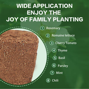 Hochwertige Coco Peat Coir Boden Seeding Plug Starter Schwämme für die Vermehrung Transplantation Hausgarten 50 Stück Tablett - Product Image 4