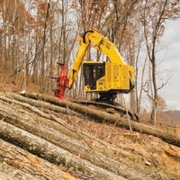 Buncher cingolato certificato feller XT465L-5
