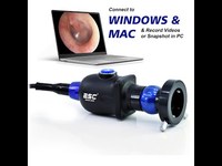 Caméra endoscopique HD Portable USB Endoscope rigide ENT Médical 1.2MP Windows