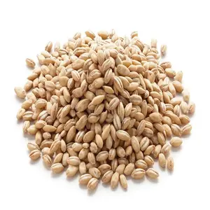 Grains de blé sélectionnés très propres (doux et durs)/blé à vendre