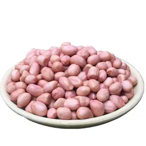 Großhandel Sheller Raw <span class=keywords><strong>Kernel</strong></span> Erdnüsse Verpackung getrocknet No Shell Bulk Erdnuss nüsse