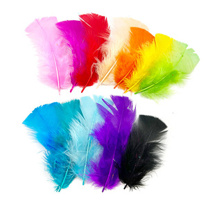 250pcs 4cm nhuộm đầy màu sắc không độc hại Thổ Nhĩ Kỳ Craft lông - Product Image 4