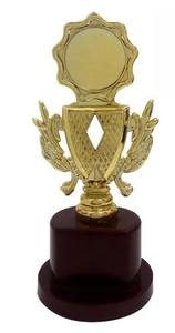 Trofeo de Metal Premium para Campeonato de Cricket, Obsequio Conmemorativo para el Ganador del Torneo Deportivo y Eventos del Club - Product Image 3