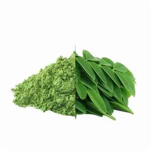 Fournisseur en gros de poudre de feuilles de Moringa avec protéines et vitamines pour les utilisations de santé, poudre provenant d'un exportateur indien - Product Image 5