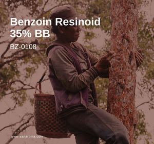 Resina de Benzoína 35% BB, Extracto Premium de Alta Calidad (BZ-0108), Aroma a Vainilla - Product Image 2