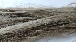 Fibras de agave naturales hechas a medida, ideales para proyectos universitarios, hilatura textil y proyectos Crat para reventa - Product Image 3