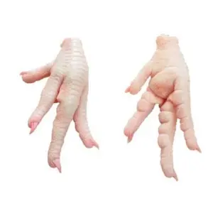 Pièces de cuisse bio Viande entière Quartes cuisses Pattes de poulet Pieds de poulet surgelés