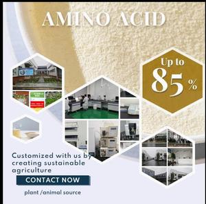 Acides aminés libres 90% |   Bio-stimulant végétal en poudre blanche entièrement soluble dans l'eau à absorption rapide, intermédiaires organiques - Product Image 4