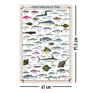 Impresión artística de peces del Mediterráneo, intrincado mapa de pared de las especies de peces del Mar Mediterráneo - Product Image 1