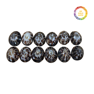 Conchas de Lapa decorativas pulidas y brillantes para temas interiores - Product Image 5