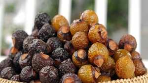 Savon naturel à base de plantes séchées, savon aux noix, ingrédient de saponine pour shampooing, soins de la peau et soins personnels, pour utilisation comme détergent de cuisine - Product Image 3