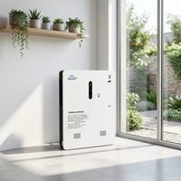 Générateur solaire portable tout-en-un 1KW avec panneaux monocristallins, batterie au lithium-fer, système de stockage d'énergie domestique 8 heures