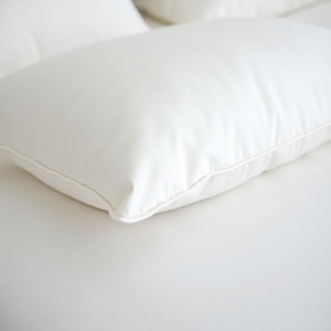 Hỗ trợ mềm mại mới mẻ Vỏ bông 100% 50x80cm có thể giặt được gối giường thoáng khí 1200g thấp gác xép giả ngỗng xuống chèn - Product Image 2