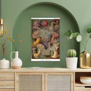 E. Haeckel - Formas artísticas en la naturaleza, placa 49 - Póster de anémonas marinas con marco de metal - Product Image 4