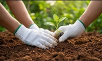 Soldes de janvier pour les gants en coton tricoté, poids 500 grammes, pour le jardinage