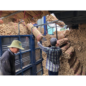 Cuerda de jacinto de agua seca de Vietnam 100% materia prima seca de jacinto de agua a precio competitivo - Product Image 3