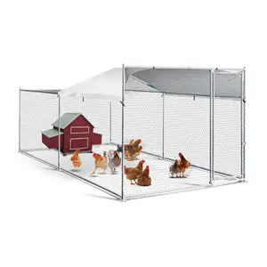 Chicken Laying Cage Poultry Farm Coop CGT50 40*20*16 cm Des Champs Husbandry Equipments Outdoor Chicken Cage