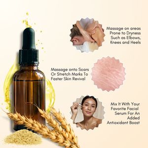 Huile végétale de germe de blé pressée à froid certifiée GMP, origine Inde, pour les soins de la peau - Product Image 2