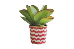 Zigzag Design Europe Style Os Incrustation Pot De Fleur Intérieur Extérieur Jardin Décor Pots & Jardinières pour Produits Offre Spéciale - Product Image 5