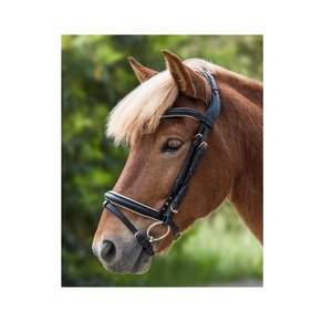 Brida de Cuero Genuino Brillante y Cómoda para Montar a Caballo con Diseño Personalizable y Brida de Mordaza - Product Image 1