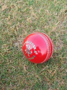 Nuevo cuero superior de alta calidad Kookaburra 156G máquina Stitch Cricket Balls - Product Image 4