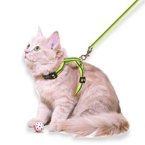 Ensemble harnais et laisse pour chat Grossiste respirant Accessoires pour animaux de compagnie - Product Image 3