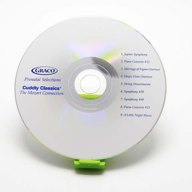 CD DVD Duplication in Customized Cardboard Jacket