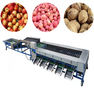 High Precision Avocado and Mango Sorter, Gentle Handling Roller Drum Classifier - Product Image 3