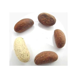 ถั่วโคลารสขม/ถั่วส้ม/ถั่วโคล่าสดจากธรรมชาติ - Product Image 6