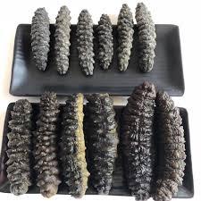 Pepino de mar seco vietnamita Premium 2025 de alta calidad procesado naturalmente para exportación - Product Image 6