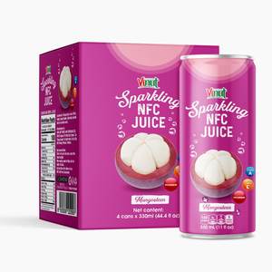 Para Vinut Mangosteen Sparkling NFC Juice Box 4 latas de jugo de frutas y verduras sin azúcar - Product Image 1
