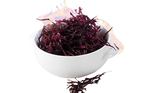 La mousse de mer Premium, cueillie dans les eaux vierges, fournit une source naturelle de minéraux vitaux - Product Image 6