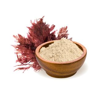 Nutritious Food Grade Natural Seaweed Extract Powder Wholesale <b>Dried</b> Sea <b>Moss</b> Powder for Export - Product Image 2