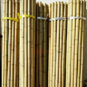 MEILLEUR PRIX POUR LE POLE EN BAMBOU PRÊT À EXPORTER EN GRANDE QUANTITÉ PRODUIT DE MEILLEURE QUALITÉ DU VIETNAM - Product Image 4