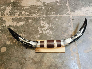 Vintage Inde Plaque Murale Décorative Argent Jante Montée Corne de Buffle Corne Montée Paire Plante Murale Vintage par tradebit - Product Image 3