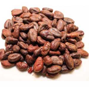 Venta al por Mayor de Granos de Cacao Premium – Precio Competitivo - Product Image 6