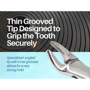Fórceps de extracción de dientes dentales de primera calidad, incisivos, caninos, premolares, dientes superiores e inferiores, extracción oral, instrumentos médicos - Product Image 2