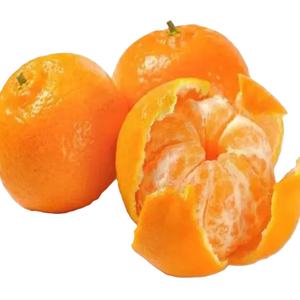 Extractos de Cítricos Frescos de Alta Calidad Premium, Incluyendo Naranjas, Limones, Limas, Mandarinas, Cosecha Fresca Amarilla, ¡Oferta! - Product Image 1