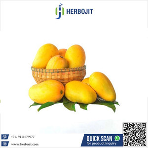 Variedad orgánica de Badami, mango fresco, fruta dulce y deliciosa de alta demanda a un precio razonable - Product Image 6