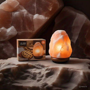 GMP Authenticated Natural Himalayan Salt <b>Lamp</b> Various Sizes Shapes Electric Cord Bulb Organic Material Complete Package Flower - Product Image 6