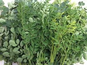 Origine naturelle Moringa feuilles vertes séchées nouvelle saison traitement brut 100% ad processus de séchage pour la consommation humaine - Product Image 5