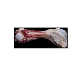 ORGANIC FRESH PROCESSING FROZEN <b>BEEF</b> BONE FROZEN <b>BEEF</b> Knee Bones Supplier - Product Image 6