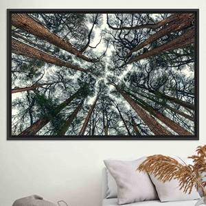 Toile imprimée : Art du ciel des arbres, style campagnard, décoration minimaliste, TOILE ENCADRÉE NOIRE - Product Image 1